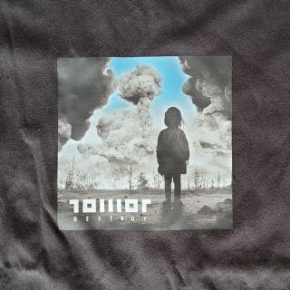 Koszulka męska TOWOT destroy cover black