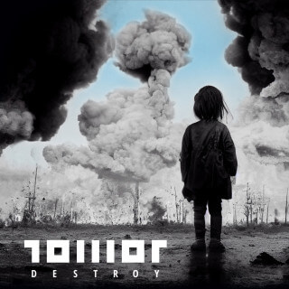 Płyta CD TOWOT destroy